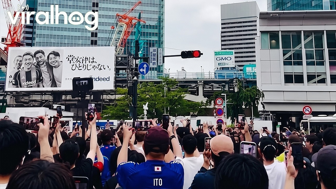 Shibuya Crossing Packed With Fans After 4-0 Victory Over Tunisia || ViralHog