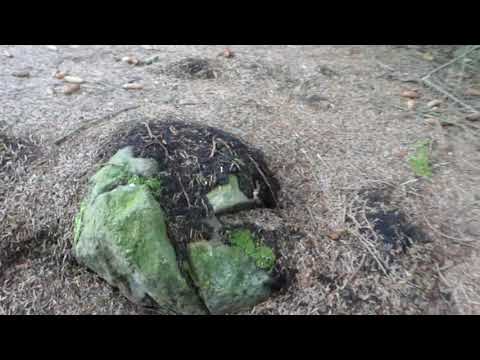 Veien opp til Himmelberget