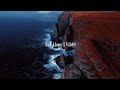 Vibfy - Not Alone