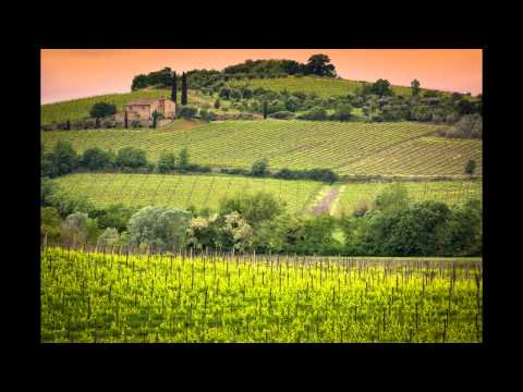 Hotel Artis in Rom (Latium - Italien) Bewertung