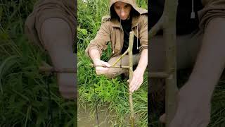Download lagu Fish trap #bushcraft #trap #fishing #survival mp3