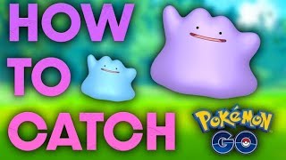 Secret Methods Revealed: How to catch a ditto in pokemon go September 2023