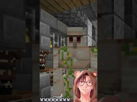 Locked Up in Minecraft Villager Jail?! Guess Why!