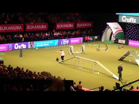 LittleBitz@Crufts 2017 Small Team Final