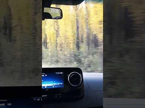 Ver10706, Otoño en movimiento camino a Tunuyan Mendoza 2026
