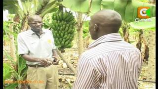 Small Scale Farmers