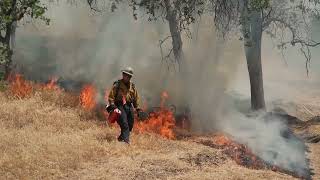 Team 06 ARTEMIS UPV | Business Model | XtraChallenge 2025