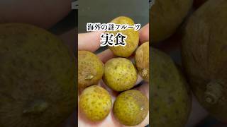 タイの謎フルーツ「竜眼」を実食!海外は知らない食べ物だらけ!#タイ旅行 #タイ土産 #海外一人旅 #タイ移住