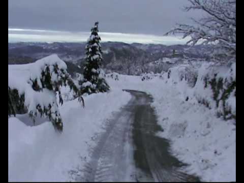 olmo gentile inverno 08 09