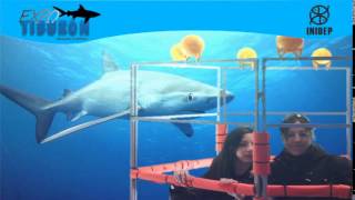 DIA 2 Expo Tiburon147