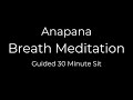 30-Minute Guided Breath Meditation (Anapana)