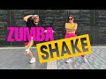 ZUMBA SHAKE L Frogplum Music L Zumba L High Energy L Dance Workout