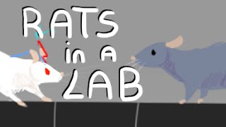 Rats In A Lab 🐀