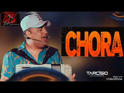 A NOITE PASSADA VI VOCÊ DISCUTINDO COM SEU NAMORADO PARECIA INFELIZ - TARCÍSIO DO ACORDEON CHORA