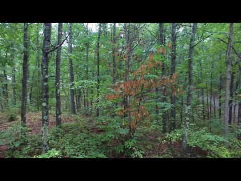 Shirley, Ma Land For Sale By Owner