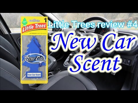 Little Trees review by Japanese #4 (New Car Scent)