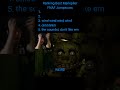 Ranking Markiplier Jumpscares In FNAF Markiplier Fnaf