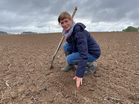 Feldexkursion 203: Aussaat von Getreide  - N.U. Agrar GmbH, 25.09.2021