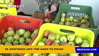 ΣΕ ΑΠΟΓΝΩΣΗ ΑΠΟ ΤΟΝ ΔΑΚΟ ΤΟ ΠΗΛΙΟ ΘΕΣΣΑΛΙΑ LIVE 12 02 2019