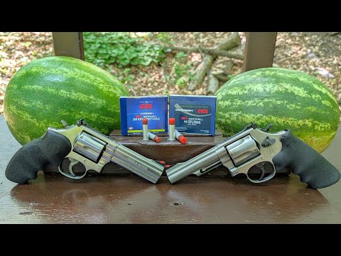 CCI Big 4 Shot Shell - Ballistic Test - .38 Special VS .44 Special