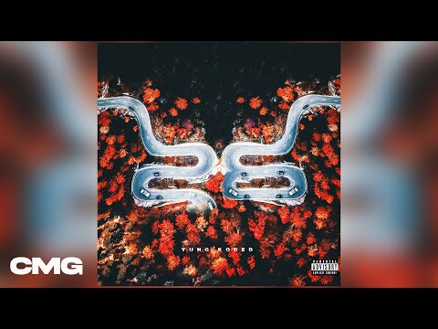 Yung Koded x Shanty Bobo - Go Crazy (Official Visualizer)