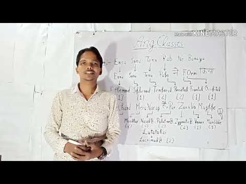 Magic trick on bones