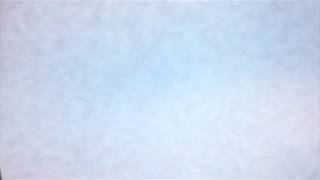 Hugo Leal - Breaking (Official Video)