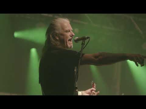 Cats In Space Live at The Stonedead MMH Party 2021