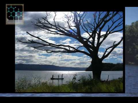 Flying - The Pholhas