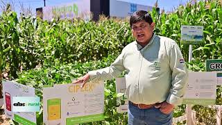 Soluciones con productos biológicos y nutrición de plantas, a toda prueba