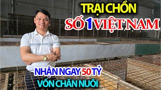 Vietnam's No. 1 Civet Farming Project for Export - Continue to Invest 50 Billion to Support Lives...