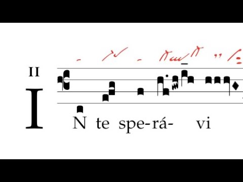 Offertorium: In te speravi