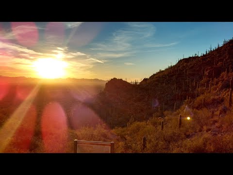 "The Living-One-Who-Sees-Me:" The Hope of Hagar's Name