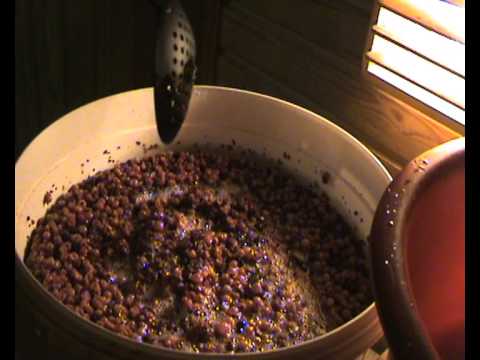 Marjaisan kotiviinin valmistus aasta ööhön