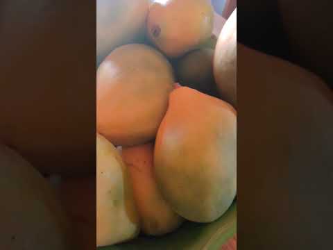 Mangas espadas,em Cariús Ceará Brasil!!!