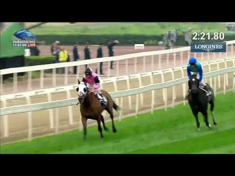 2017.04.02 Chengdu - Dubai International Cup (CHN) - Skygazer