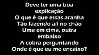 Raul Seixas - Rock Das Aranhas (Letra)