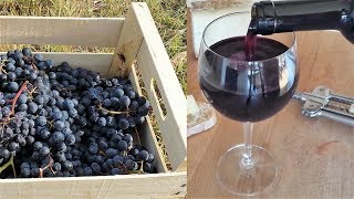 Homemade Italian Wine