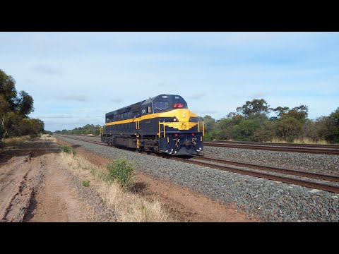 C501 on D283V & NR84+NR66 on 4MA5