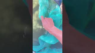 Theo Yêu Cầu Quay Bể Tuần Hoàn Nuôi Cá#kieuduc