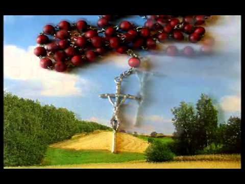 ■■Ks. Stefan Ceberek - Z różańcem w ręku u boku Maryi