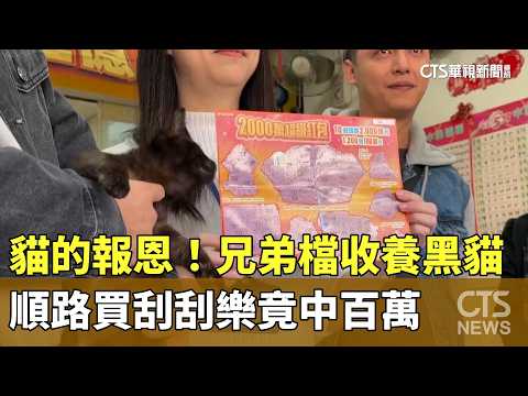貓的報恩！兄弟檔收養黑貓　順路買刮刮樂竟中百萬