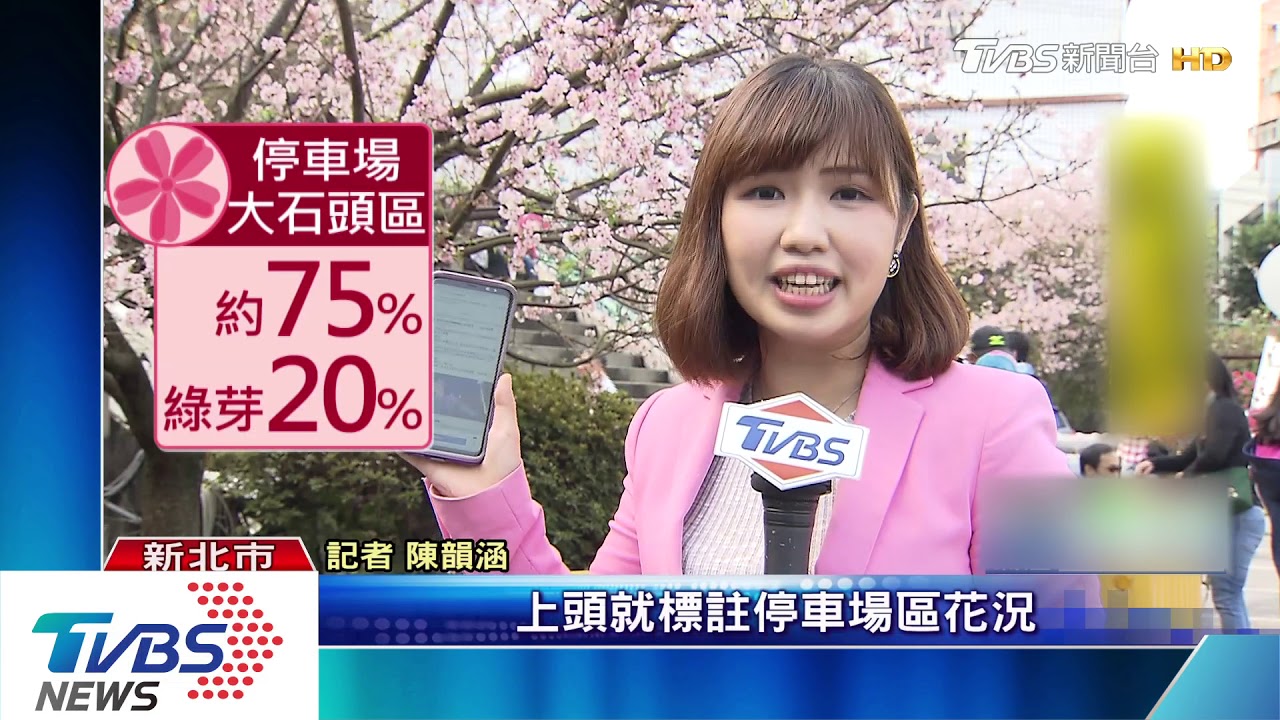 暖冬延開! 淡水天元宮時雨時晴「櫻吹雪」