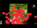 Status Cut Song