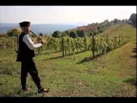 Mix narodne muzike 2019 -20!  (STARE PESME)