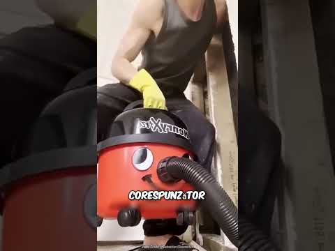 „Ce a găsit în peretele său” ✅