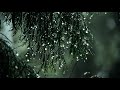 Barsat Ke Din Aaye Status Mulakat Ke Din Aaye Ringtone WhatsApp Status 4K Ultra HD Status
