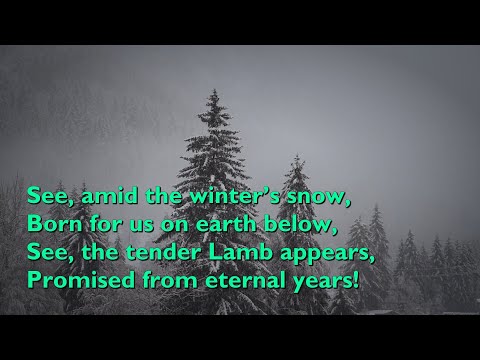 See Amid The Winter's Snow