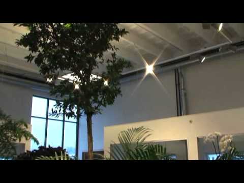 Växter Mölnlycke Luwasa