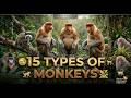 15 Types Of Monkeys You Need To See Amazing Monkey Facts Old World New World
